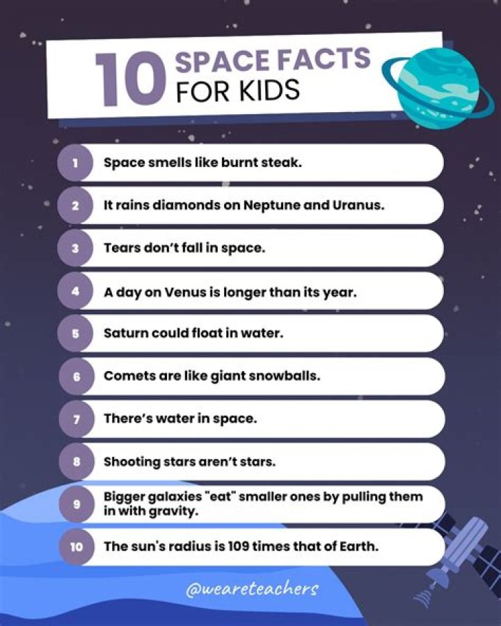 8 Interesting Facts About Daddy Long Neck [2023]