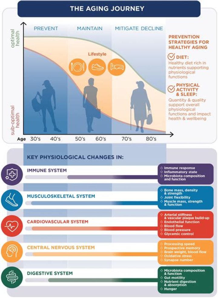 Age, Impact, And Content Journey