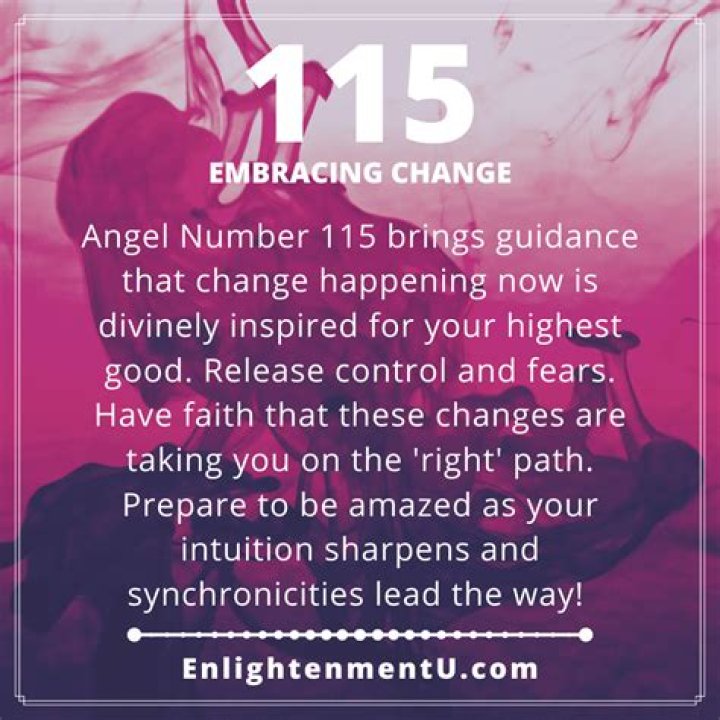 ANGEL NUMBER 115 ·