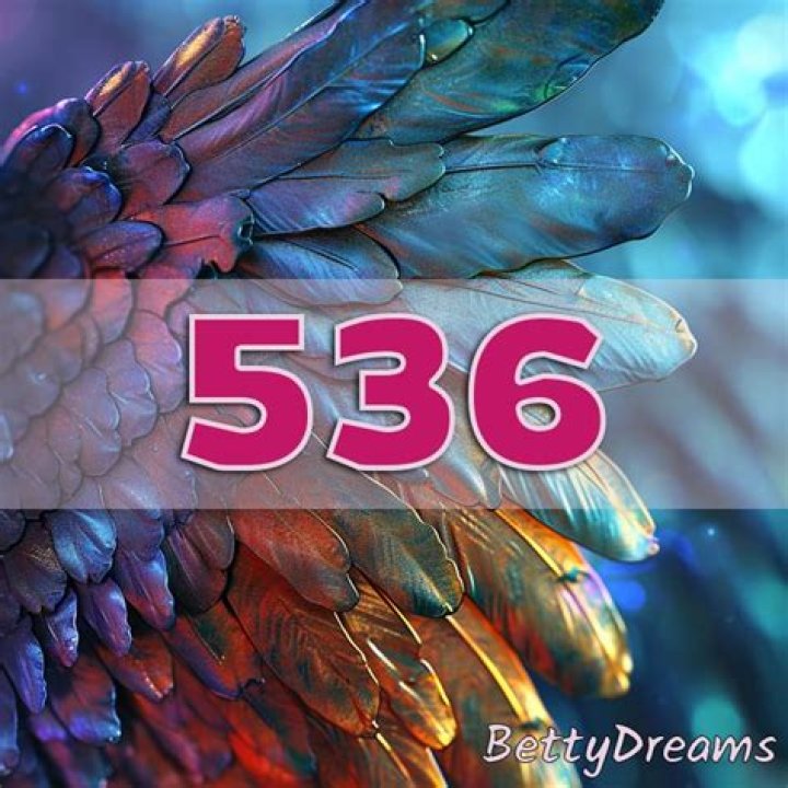 ANGEL NUMBER 536 ·