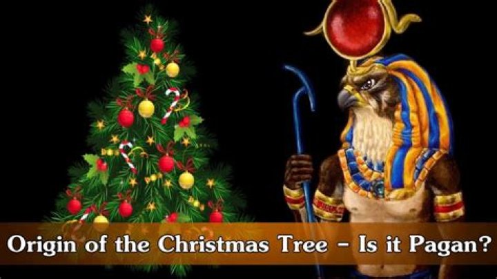 Are Christmas Trees Pagan in Origin?