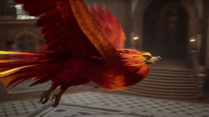 Can you find a second Phoenix Hogwarts?