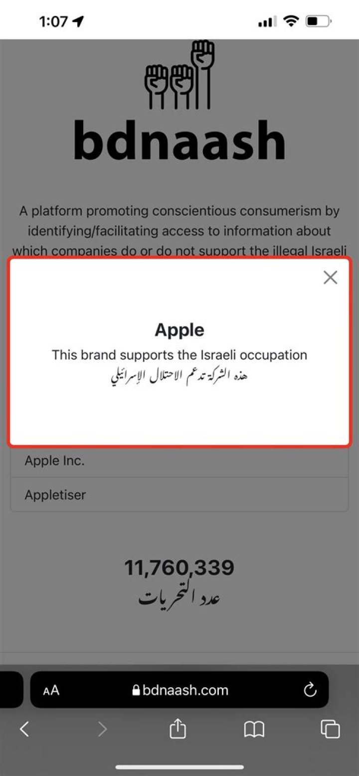 Discover The Functionality Of BDNaash.com