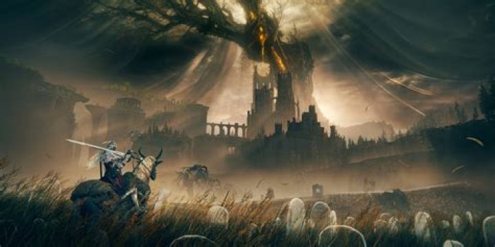 Discoveries And Insights From The Ring