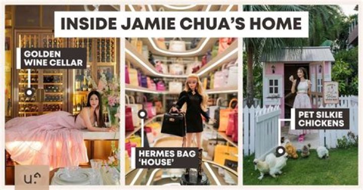 Jamie Chua Wikipedia