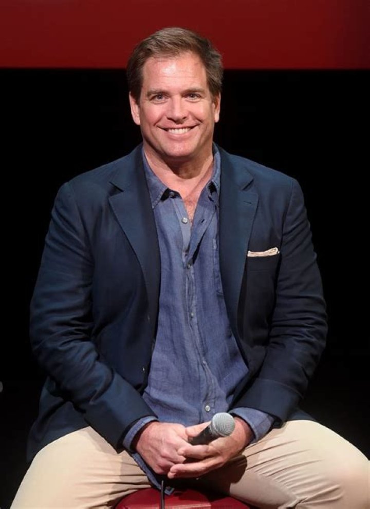 Michael Weatherly Net Worth