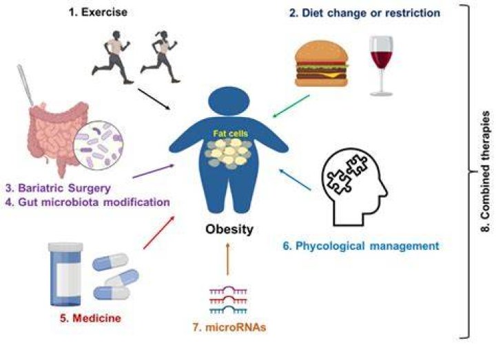 Obesity, Carmelo-maika