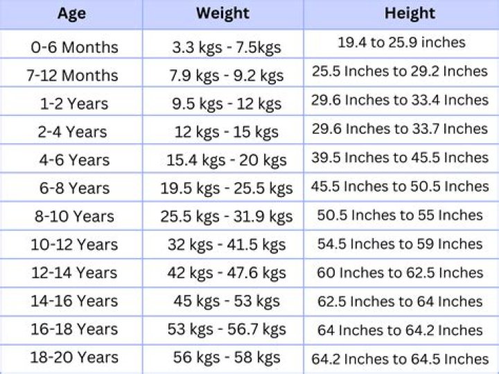 Seth Rogen Height Weight Body Stats