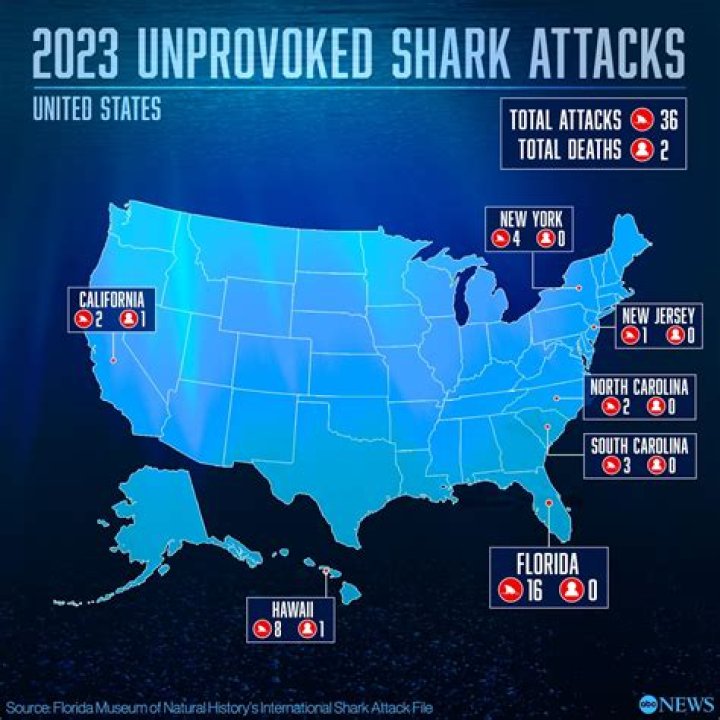 Shark Attacks In Honolulu, Hawaii