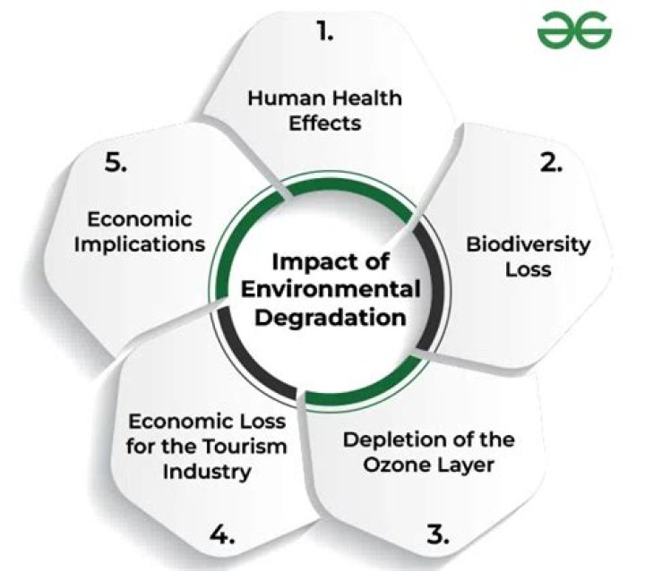 Unveiling The Causes And Impacts