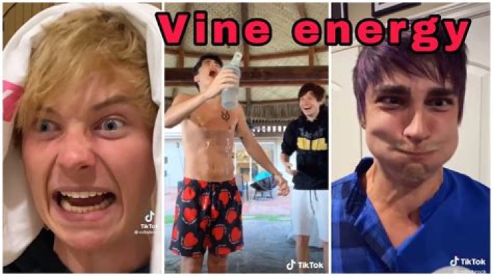 What Is Sam Golbach Net Worth